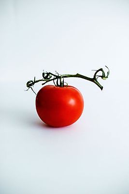 포토 JPG 해외이미지 식물 음식 백그라운드 잎 농업 다이어트 토마토 채소 과일 재료 자연 건강 요리 사람없음 빨간색 초록색 여름 빛 식사 활발 샐러드 성장 흰색 신선 원형 시장 맛 케첩 먹기 오브젝트 싱글 유기농 원예 날것 내추럴 고립 숙성 영양분 채식주의자 해외포토 도형 웰빙 계절 산업 컬러 컨셉 모션 취미 소스_음식 생태계 채식 파일형식 이미지허브