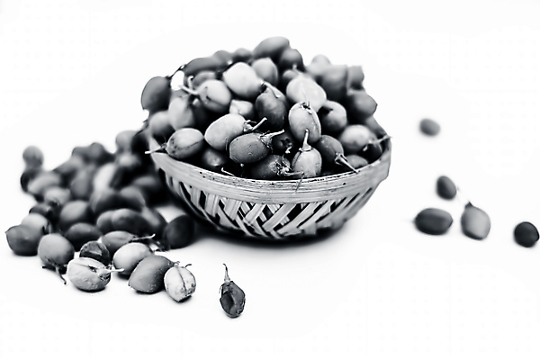 포토 JPG 해외이미지 식물 음식 백그라운드 잎 농업 다이어트 채소 재료 콩 건강 병아리 요리 씨앗 사람없음 초록색 농작물 주방 수확 흰색 맛 낟알 먹기 유기농 완두콩 날것 칼로리 내추럴 고립 꼬투리 병아리콩 식용 해외포토 웰빙 산업 컬러 컨셉 모션 조류 곡류 파일형식 이미지허브