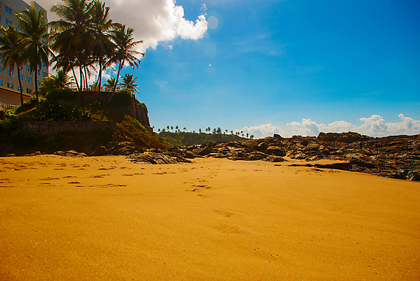 포토 JPG 해외이미지 나무 모래 파도 바다 여행 우산 자연 휴가 손바닥 풍경 사람없음 가로 물 여름 파란색 도시풍경 태양 맑음 축구 미국 목욕 도시 만 보트 가득함 브라질 대서양 남쪽 파라다이스 브라질사람 해외포토 자연요소 식물 손 계절 컬러 북아메리카 배_교통 날씨 구기 청결 남아메리카 방향 생태계 파일형식 이미지허브