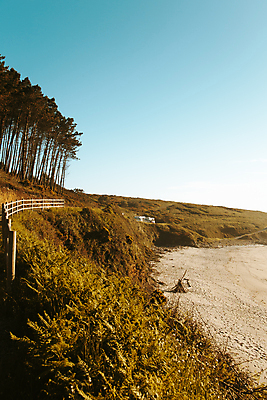 포토 JPG 해외이미지 주간 나무 자연 휴식 풍경 해변 사람없음 야외 울타리 평화 풀 경관 해외포토 자연요소 식물 바다 컨셉 담장 생태계 파일형식 이미지허브