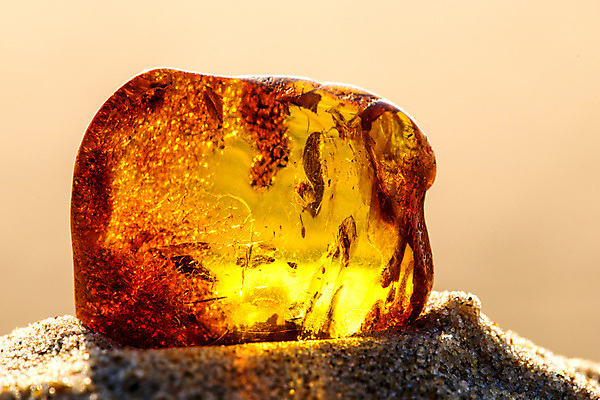 포토 JPG 해외이미지 자연 사람없음 빛 주황색 투명 보석 화석 앰버 해외포토 컬러 광석 생태계 파일형식 이미지허브