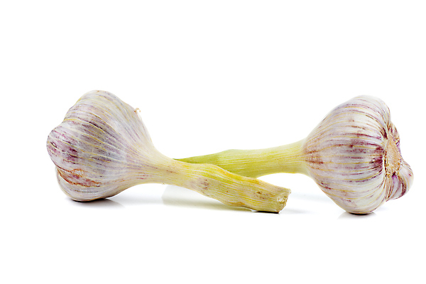 포토 JPG 해외이미지 2 채소 재료 전구 마늘 사람없음 머리 수확 신선 양념 조미료 맛 향신료 유기농 날것 냄새 향 연소 보충 고립 숙성 비건 해외포토 웰빙 컨셉 농업 신체부위 채식주의자 향미료 파일형식 이미지허브