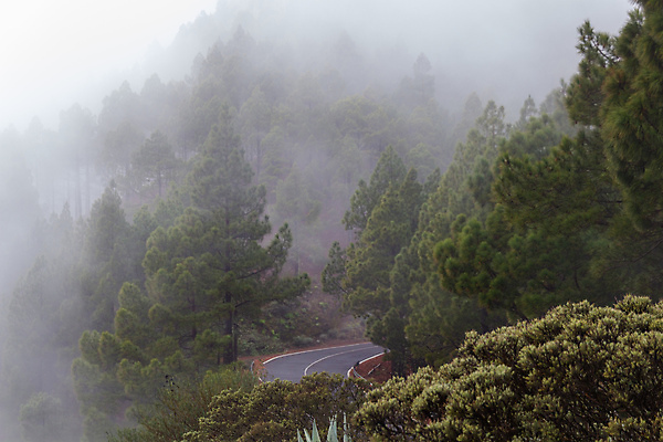 포토 JPG 해외이미지 나무 구름 계절 공원 유럽 도로 섬 여행 백그라운드 잎 아프리카 자연 하늘 아침 날씨 산 풍경 사람없음 야외 목재 초록색 여름 빛 태양 환경 새벽 안개 가을 흰색 스페인 숲 내추럴 뿌연 해외포토 주간 자연요소 식물 공공시설 나라 길 컬러 재료 교통시설 생태계 파일형식 이미지허브