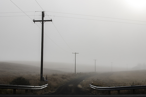 포토 JPG 해외이미지 도로 길 백그라운드 밭 자연 하늘 아침 날씨 추상 풍경 사람없음 야외 빛 햇빛 태양 평화 일출 환경 침묵 새벽 안개 시골 신비 땅 속도 그림 장면 내추럴 뿌연 워싱턴 해외포토 주간 자연요소 컨셉 무늬 농업 교통시설 노을 미국 소리 생태계 파일형식 이미지허브