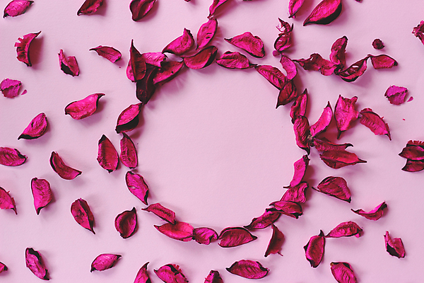 포토 JPG 해외이미지 라이프스타일 디자인 꽃잎 꽃 분홍색 백그라운드 컨셉 꽃무늬 패턴 텍스트 휴가 휴식 프레임 건조 발렌타인데이 건강 선물 사랑 사람없음 치료 장식 빨간색 장미 우주 상점 스파 봄 화장품 인사 원형 신용카드 허브 향수 질감 아로마 향 테라피 돌봄 카피스페이스 해외포토 도형 식물 계절 감정 컬러 무늬 의학 모션 데이이벤트 생활 금융 뷰티 공백 예절 파일형식 이미지허브