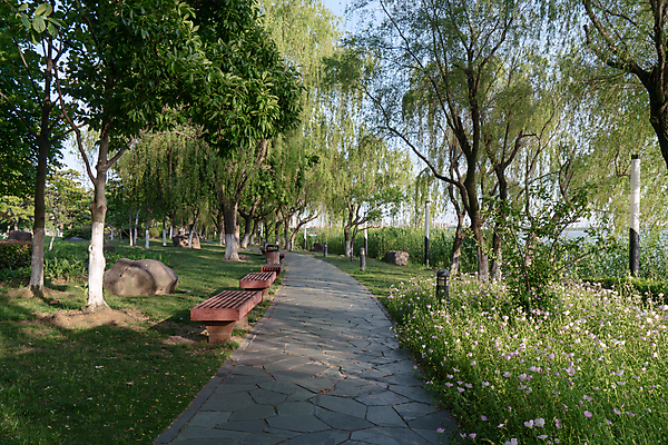 포토 JPG 해외이미지 나무 식물 공원 도로 길 여행 백그라운드 잎 자연 하늘 풍경 잔디 사람없음 야외 초록색 파란색 빛 햇빛 태양 환경 정원 맑음 봄 산책 신선 도시 오솔길 조경 장면 내추럴 땅바닥 방법 해외포토 자연요소 계절 공공시설 컬러 교통시설 날씨 휴식 바닥 생태계 파일형식 이미지허브