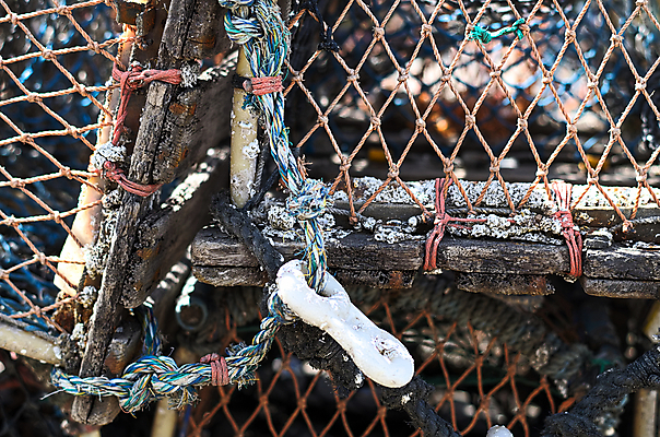 포토 JPG 해외이미지 영어 산업 음식 낚시 휴가 영국 잉글랜드 어류 사람없음 여행객 마을 게 잡기 닫기 냄비 작음 바닷가재 땅 요크셔테리어 해산물 묘사 북쪽 포트 착륙 해외포토 문자 유럽 모션 레저 갑각류 사람 수중동물 솥 크기 가재 테리어 방향 파일형식 이미지허브