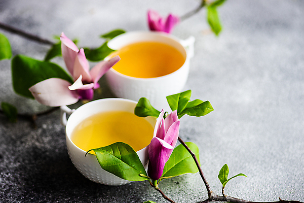 포토 JPG 해외이미지 꽃 회색배경 사람없음 나뭇가지 차 찻잔 해외포토 나무 식물 음료 백그라운드 잔 회색 파일형식 이미지허브