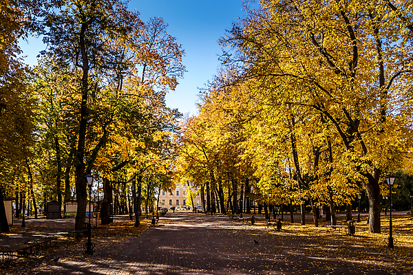 포토 JPG 해외이미지 나무 계절 공원 단풍 낙엽 잎 벤치 오렌지 자연 건조 풍경 사람없음 야외 컬러풀 햇빛 태양 갈색 노란색 환경 맑음 가을 보행로 황금 떨어짐 숲 11월 러시아 장면 10월 내추럴 해외포토 자연요소 식물 공공시설 유럽 길 컬러 컨셉 의자 과일 날씨 날짜 생태계 파일형식 이미지허브