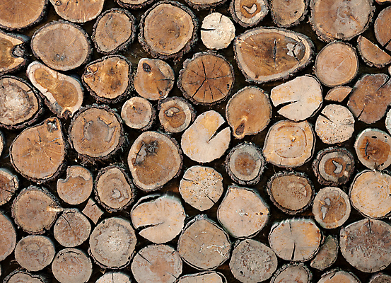 포토 JPG 해외이미지 나무 디자인 외관 문화 벽 백그라운드 패턴 자연 추상 주택 프레임 사람없음 목재 장식 울타리 갈색 노란색 마을 줄무늬 수확 소나무 거친 널 질감 나무껍질 내추럴 기침 수목 옛날 해외포토 식물 컬러 무늬 농업 재료 건물 담장 껍질 생태계 파일형식 이미지허브