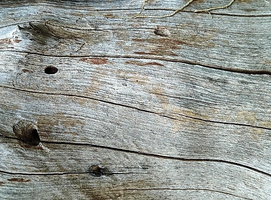 포토 JPG 해외이미지 나무 디자인 벽 백그라운드 패턴 부분 자연 탁자 표면 추상 바닥 프레임 건조 사람없음 목재 장식 가로 갈색 어둠 공백 골동품 소나무 판넬 거친 닫기 널 낟알 묘사 질감 복고 호두 내추럴 그런지 수목 엘리먼트 옛날 파케트 해외포토 식물 컬러 가구 무늬 재료 모션 견과류 생태계 파일형식 이미지허브