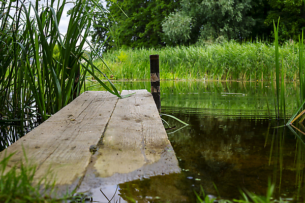 포토 JPG 해외이미지 호수 여행 백그라운드 벤치 의자 자연 하늘 날씨 휴가 휴식 갈대 풍경 잔디 사람없음 야외 목재 물 여름 파란색 햇빛 반사 갈색 평화 항구 침묵 줄무늬 산책로 수확 시골 습지 오브젝트 방파제 오르기 장면 구식 옛날 선두 해외포토 자연요소 나무 식물 계절 공공시설 길 컬러 가구 컨셉 무늬 농업 재료 교통시설 모션 태양 소리 생태계 파일형식 이미지허브