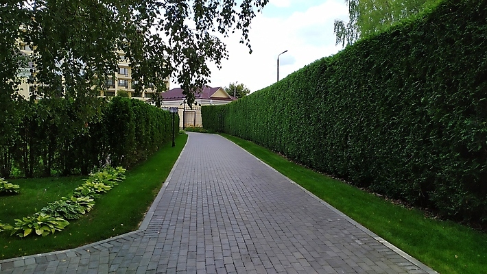 포토 JPG 해외이미지 나무 식물 응시 공원 선 벽 백그라운드 컨셉 잎 패턴 자연 벽지 표면 추상 사람없음 야외 초록색 울타리 우주 환경 정원 봄 공백 경계선 큼 오솔길 관목 묘사 에코 원예 질감 상록수 강렬 생태학 정중 줄서기 테마 해외포토 시선 계절 공공시설 교육 길 컬러 무늬 모션 취미 담장 크기 경계 생태계 파일형식 이미지허브