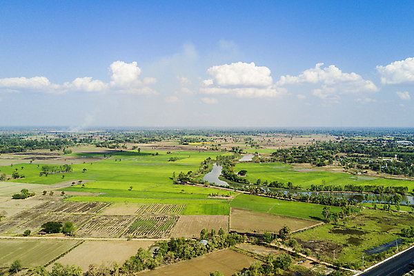 포토 JPG 해외이미지 식물 외관 문화 도로 호수 여행 백그라운드 패턴 농업 태국 자연 조류 밥 산 주택 안테나 풍경 사람없음 야외 초록색 물 여름 농작물 강 농장 농경지 노란색 환경 맑음 시골 연못 숲 땅 언덕 장면 코코넛 개발 넘어짐 논밭 해외포토 자연요소 동물 계절 산업 아시아 길 음식 컬러 무늬 밭 과일 통신 교통시설 모션 날씨 논 건물 생태계 파일형식 이미지허브