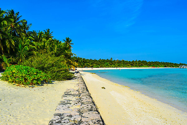 포토 JPG 해외이미지 나무 식물 모래 바다 섬 여행 백그라운드 자연 하늘 휴가 휴식 손바닥 그림자 풍경 사람없음 물 여름 파란색 햇빛 태양 맑음 침묵 시골 휴양지 코코넛 천국 석호 몰디브 이국적 터키석 파라다이스 해외포토 자연요소 손 계절 아시아 컬러 컨셉 과일 날씨 소리 장소 보석 생태계 파일형식 이미지허브