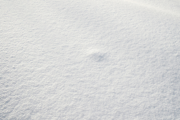 포토 JPG 해외이미지 계절 백그라운드 크리스마스 겨울 자연 날씨 추상 휴가 사람없음 야외 빛 얼음 추위 흰색 신선 크리스탈 순수 묘사 질감 서리 눈보라 내추럴 해외포토 자연요소 기념일 컬러 컨셉 무늬 눈_날씨 광석 생태계 파일형식 이미지허브