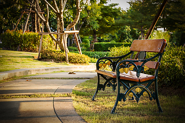 포토 JPG 해외이미지 공원 벤치 의자 사람없음 야외 목재 정원 저녁 오솔길 내추럴 해외포토 나무 공공시설 길 가구 재료 야간 파일형식 이미지허브