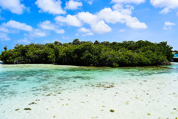 포토 JPG 해외이미지 나무 모래 바다 섬 여행 자연 하늘 휴가 손바닥 풍경 사람없음 야외 물 여름 파란색 야자수 맑음 흰색 휴양지 코코넛 카리브해 이국적 파라다이스 수평선 해외포토 자연요소 식물 손 계절 컬러 과일 날씨 장소 생태계 파일형식 이미지허브