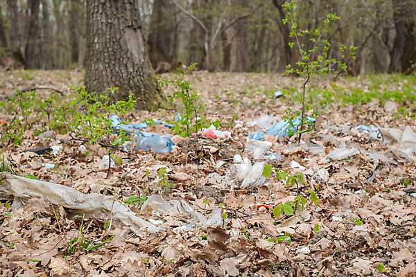 포토 JPG 해외이미지 나무 공원 종이 지구 음식 백그라운드 컨셉 자연 사람없음 야외 목재 초록색 환경 재활용 쓰레기통 신선 던지기 캔 닫기 보호 쓰레기 폐기물 숲 장작 컨테이너 플라스틱 버리기 심볼 에코 생태계 한조각 흙더미 낭비 내추럴 고립 생태학 수목 옛날 해외포토 식물 1 공공시설 교육 산업 컬러 재료 모션 재질 흙 친환경 파일형식 더미 이미지허브