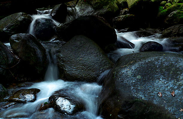 포토 JPG 해외이미지 식물 공원 아시아 여행 백그라운드 태국 자연 휴가 휴식 산 이끼 풍경 사람없음 야외 초록색 물 여름 빛 강 햇빛 평화 환경 검은색 침묵 폭포 젖음 흐름 가을 바위 신선 개울 수증기 숲 열대우림 명상 내추럴 그리너리 해외포토 자연요소 계절 공공시설 나라 컬러 컨셉 소리 생태계 파일형식 트랜드컬러 이미지허브