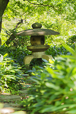 포토 JPG 해외이미지 나무 식물 전통 공원 아시아 단풍 잎 자연 휴식 전등 이끼 풍경 사람없음 야외 목재 초록색 여행객 정원 일본 맑음 화목 바위 등불 원형 영혼 도쿄 삼나무 해외포토 도형 공공시설 나라 컬러 컨셉 재료 날씨 조명 사람 돌_바위 생태계 파일형식 이미지허브