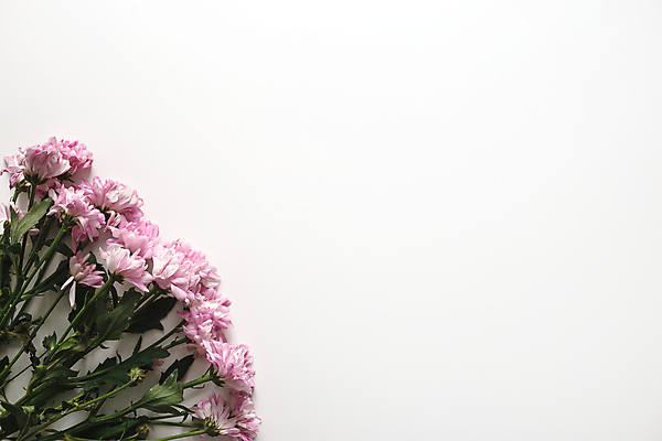 포토 JPG 해외이미지 식물 디자인 계절 기념일 꽃 종이 분홍색 꽃다발 결혼 백그라운드 꽃무늬 텍스트 자연 탁자 휴가 프레임 국화 발렌타인데이 선물 사랑 사람없음 목재 장식 초록색 장미 우주 보라색 봄 공백 벚꽃 흰색 하트 축하 인사 신선 신용카드 플랫 정상 초대 위치 내추럴 해외포토 모양 나무 감정 컬러 가구 컨셉 무늬 재료 데이이벤트 이벤트 금융 예절 생태계 파일형식 이미지허브