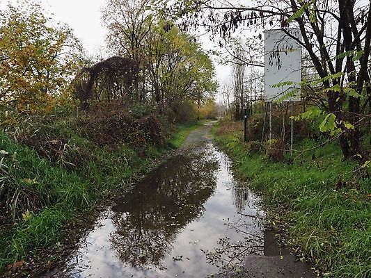 포토 JPG 해외이미지 유럽 파도 날씨 파노라마 사람없음 물 강 이탈리아 큼 홍수 장면 진흙 스카이라인 산기슭 유럽연합 피에몬테 해외포토 자연요소 나라 바다 산 촬영기법 크기 자연재해 파일형식 이미지허브