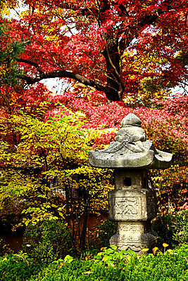 포토 JPG 해외이미지 나무 식물 계절 공원 아시아 벽 여행 백그라운드 단풍 잎 오렌지 자연 한국 동양인 풍경 사람없음 야외 빨간색 빛 컬러풀 태양 노란색 정원 일본 가을 바위 나뭇가지 등불 황금 숲 내추럴 강렬 교외 옛날 해외포토 자연요소 공공시설 나라 컬러 과일 조명 인종 돌_바위 생태계 파일형식 이미지허브