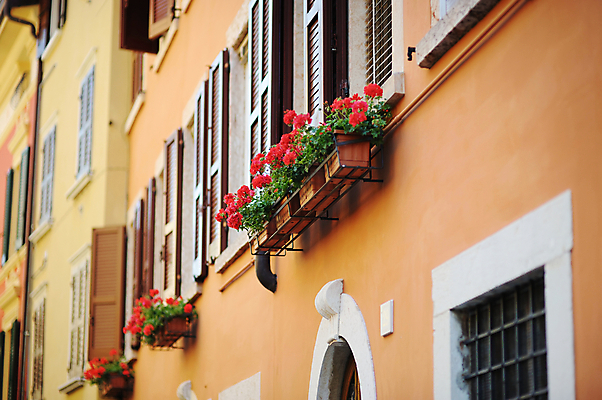 포토 JPG 해외이미지 주간 외관 옷 꽃 유럽 벽 의자 오렌지 건축양식 창문 주택 건조 사람없음 건물 장식 빨간색 여름 문 기댐 이탈리아 활발 궁전 발코니 화려 역사 재산 지중해 철 셔터 옛날 진짜 차양 해외포토 자연요소 식물 건축물 계절 건축 나라 바다 컬러 가구 컨셉 고건축 과일 모션 금융 파일형식 이미지허브