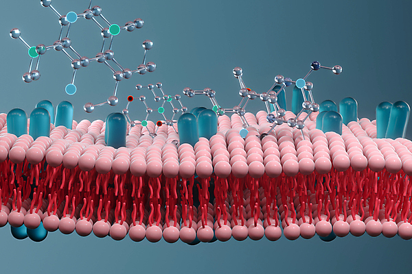 JPG 해외이미지 의학 세포 사람없음 파란색 3D 분자구조모형 세포막 해외포토 포토 컬러 모형 디지털합성 분자구조 파일형식 이미지허브