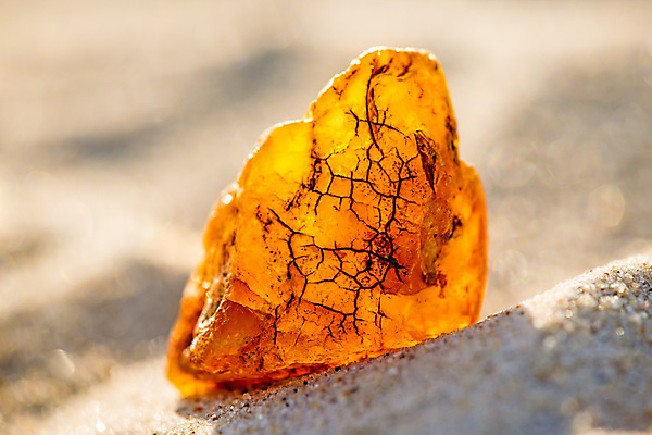 포토 JPG 해외이미지 자연 사람없음 빛 주황색 투명 보석 화석 앰버 해외포토 컬러 광석 생태계 파일형식 이미지허브