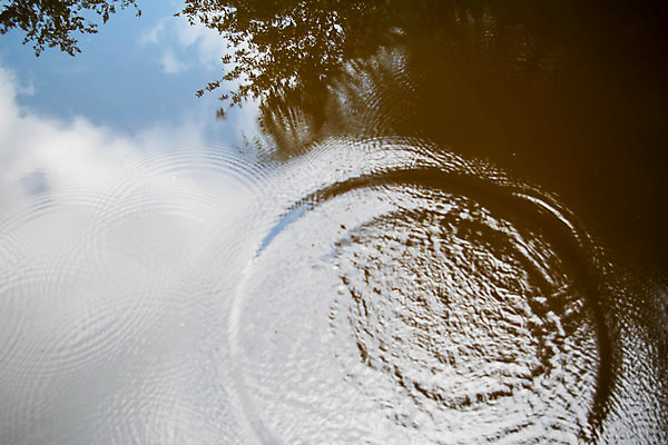 포토 JPG 해외이미지 나무 호수 과학 백그라운드 잎 상상 자연 하늘 표면 추상 미술 사람없음 물 파란색 반사 젖음 흐름 짜증 연못 액체 수면 떨어짐 숲 위험 무서움 명상 질감 충격 우울증 잔물결 트러블 몽환 가상 해외포토 자연요소 식물 감정 물결 컬러 컨셉 무늬 문화예술 질병 생태계 파일형식 이미지허브