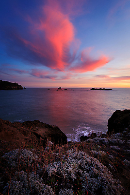 포토 JPG 해외이미지 구름 파도 바다 섬 백그라운드 오렌지 자연 하늘 아침 산 풍경 사람없음 야외 물 여름 파란색 햇빛 태양 반사 일출 보라색 침묵 일몰 수확 오픈 황금 건초더미 저녁 캘리포니아 태평양 대포 넘어짐 수평선 해외포토 주간 자연요소 계절 무기 컬러 농업 과일 모션 노을 미국 소리 건초 야간 생태계 파일형식 더미 이미지허브