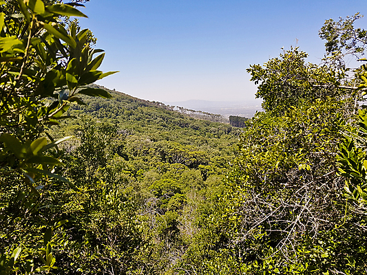 포토 JPG 해외이미지 나무 구름 공원 여행 자연 산 파노라마 풍경 사람없음 야외 초록색 여름 파란색 도시풍경 계곡 산책로 하이킹 가을 도시 숲 언덕 타운 스카이라인 내추럴 남아프리카 절정 케이프타운 해외포토 자연요소 식물 계절 공공시설 길 컬러 아프리카 레저 촬영기법 생태계 남아프리카공화국 파일형식 이미지허브