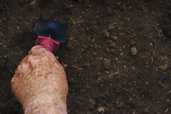 포토 JPG 해외이미지 식물 손 계절 지구 백그라운드 컨셉 농업 자연 사람 잔디 취미 사람없음 농장 우주 금속 정원 흙 봄 장비 성장 공구 시골 업무 플랫 정상 모종삽 삽 준비 원예 먼지 위치 거름 돌봄 땅바닥 땅파기 모종 옛날 원예사 카피스페이스 해외포토 직업 산업 모션 재질 바닥 신체부위 공백 도구 작업 생태계 파일형식 이미지허브