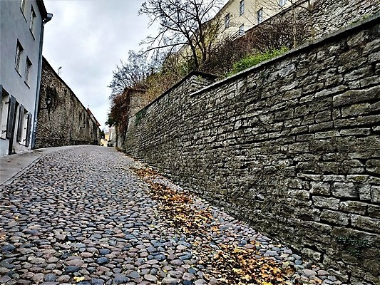 포토 JPG 해외이미지 외관 유럽 도로 벽 여행 건축양식 거리 주택 풍경 사람없음 야외 건물 세로 도시풍경 컬러풀 젖음 가을 조약돌 바위 등불 램프 도시 보행자 중세 역사 보행로 좁은 타운 흐림 에스토니아 옛날 해외포토 건축물 계절 건축 나라 길 컬러 교통시설 날씨 조명 돌_바위 파일형식 이미지허브
