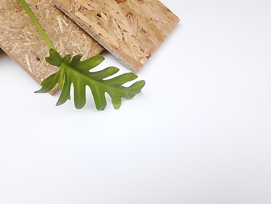 포토 JPG 해외이미지 디자인 백그라운드 컨셉 패턴 비즈니스 자연 바닥 사람없음 내부 목재 장식 초록색 우주 환경 흰색 면 판넬 널 작음 에코 질감 지구온난화 내추럴 수목 합판 해외포토 나무 컬러 무늬 재료 크기 생태계 기후변화 파일형식 이미지허브