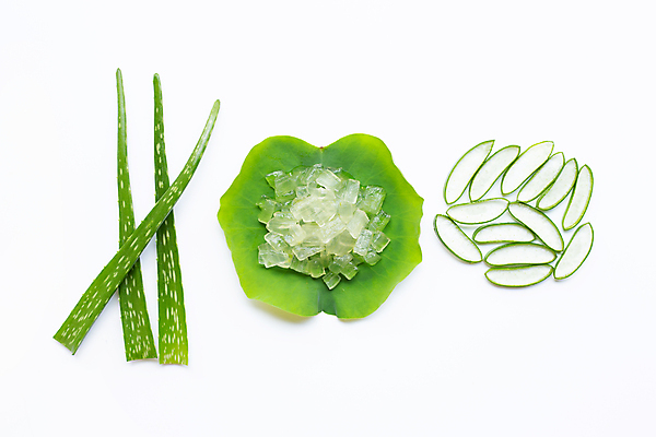 포토 JPG 해외이미지 스튜디오촬영 단면 실내 사람없음 초록색 흰배경 알로에 해외포토 식물 컬러 백그라운드 내부 흰색 파일형식 이미지허브