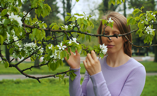 포토 JPG 해외이미지 나무 백인 라이프스타일 공원 여자 꽃잎 꽃 행복 얼굴 컨셉 자연 한명 서기 미소 성인 야외 초록색 봄 벚꽃 흰색 신선 개화 닫기 사과 긍정 내추럴 진짜 해외포토 서양인 식물 1 계절 공공시설 감정 컬러 과일 모션 표정 사람 생활 신체부위 생태계 파일형식 이미지허브