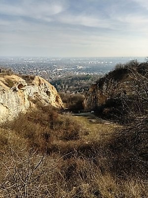 포토 JPG 해외이미지 나무 구름 모델 1 디자인 얼굴 백그라운드 밭 가족 자연 하늘 추상 산 건조 건강 서기 사람 풍경 사람없음 야외 건물 물 울타리 사무실 흰색 그룹 정상 큼 먹기 피부 책상 언덕 질감 온라인 고립 돌봄 해외포토 자연요소 식물 건축물 컬러 가구 무늬 농업 비즈니스 관계 모션 신체부위 담장 크기 생태계 파일형식 이미지허브