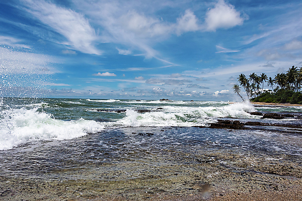 포토 JPG 해외이미지 나무 구름 아시아 모래 파도 바다 여행 자연 하늘 휴가 휴식 손바닥 풍경 사람없음 야외 초록색 물 여름 파란색 모래사장 햇빛 태양 맑음 침묵 흰색 만 뜨거움 서핑 휴양지 분무기 코코넛 내추럴 스리랑카 파라다이스 해외포토 자연요소 식물 손 계절 나라 컬러 컨셉 과일 날씨 소리 장소 수상스포츠 생태계 파일형식 이미지허브