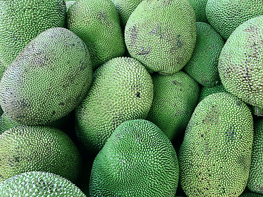 포토 JPG 해외이미지 계절 음식 다이어트 과일 자연 디저트 건강 키위 사람없음 초록색 여름 노란색 세일 흰색 신선 가시 시장 달콤 맛 먹기 유기농 날것 정리 내추럴 보충 고립 숙성 이국적 해외포토 웰빙 컬러 컨셉 모션 생태계 파일형식 이미지허브