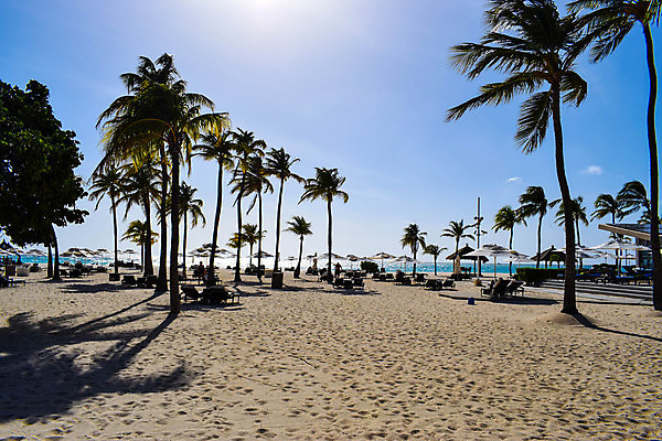 포토 JPG 해외이미지 나무 구름 모래 바다 섬 여행 오렌지 하늘 휴가 휴식 풍경 사람없음 야외 물 파란색 평화 일출 일몰 신혼여행 그림 휴양지 부표 파라다이스 수평선 해외포토 자연요소 식물 컬러 결혼 컨셉 과일 노을 장소 파일형식 이미지허브