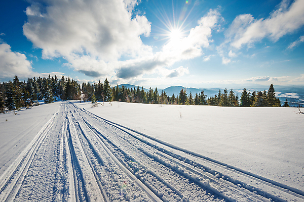 포토 JPG 해외이미지 나무 구름 계절 유럽 길 여행 겨울 자연 하늘 날씨 스키 휴식 산 풍경 경사 사람없음 태양 걷기 우주 환경 계곡 냉동 얼음 산책 하이킹 추위 흰색 시골 소나무 숲 발자국 오솔길 언덕 서리 트랙 북쪽 단계 깊이 자취 절정 눈내림 가문비나무 해외포토 자연요소 식물 나라 컬러 컨셉 자국 모션 레저 겨울스포츠 눈_날씨 방향 생태계 파일형식 이미지허브