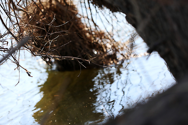 포토 JPG 해외이미지 전신 백인 구름 커플 공원 여자 남자 유럽 50대 여행 배낭 자연 하늘 휴가 독일 따뜻함 국립공원 사람없음 가로 여름 강 도시풍경 교회 여행객 걷기 하이킹 시골 도시 보트 황금 60대 숲 크루즈 은퇴 삼림지대 카피스페이스 해외포토 자연요소 서양인 계절 공공시설 노년 나라 중년 배_교통 가방 관계 종교건축 모션 레저 사람 풍경 건물 공백 생태계 파일형식 이미지허브