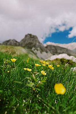 포토 JPG 해외이미지 주간 구름 계절 공원 꽃 백그라운드 밭 자연 아침 산 풍경 사람없음 야외 초록색 여름 파란색 빛 컬러풀 태양 환경 봄 들꽃 광선 시골 신선 황무지 저녁 언덕 멀리 서식지 산악지대 몬테네그로 해외포토 자연요소 식물 공공시설 컬러 농업 야간 생태계 파일형식 이미지허브