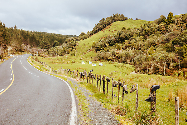 포토 JPG 해외이미지 공원 스포츠 여행 자연 넥타이 휴가 새로움 부츠 미술 풍경 사람없음 야외 울타리 여행객 트래킹 하이킹 뉴질랜드 선로 하이커 해외포토 잡화 공공시설 신발 컨셉 레저 문화예술 사람 담장 오세아니아 생태계 파일형식 이미지허브