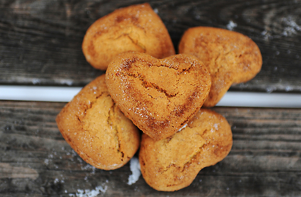 포토 JPG 해외이미지 모양 음식 백그라운드 크리스마스 겨울 휴가 디저트 발렌타인데이 사랑 사람없음 목재 파란색 갈색 쿠키 흰색 하트 달콤 심볼 고립 소셜네트워크 시나몬 스타일 해외포토 나무 계절 기념일 감정 컬러 재료 데이이벤트 맛 파일형식 이미지허브