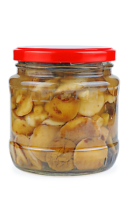 포토 JPG 해외이미지 음식 다이어트 재료 유리 요리 사람없음 갈색 노란색 식사 버섯 항아리 캔 컨테이너 통조림 고립 곰팡이 그물버섯 해외포토 산업 컬러 재질 건강 도자기 파일형식 이미지허브