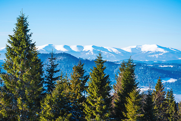 포토 JPG 해외이미지 나무 계절 유럽 여행 겨울 자연 하늘 날씨 휴가 스키 산 파노라마 풍경 경사 사람없음 야외 파란색 환경 냉동 얼음 하이킹 추위 흰색 시골 숲 서리 층 반대 내추럴 산악지대 절정 폭설 눈내림 가문비나무 해외포토 자연요소 식물 나라 컬러 레저 겨울스포츠 눈_날씨 촬영기법 자연재해 생태계 파일형식 이미지허브